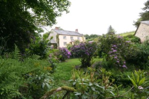 View of the main house from the shrubbery