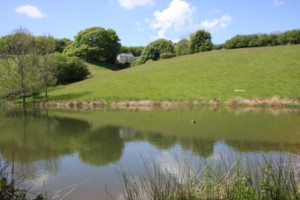 The Valley at Cutthorne