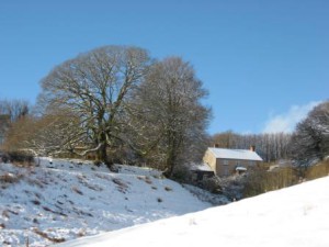 Cutthorne in the snow