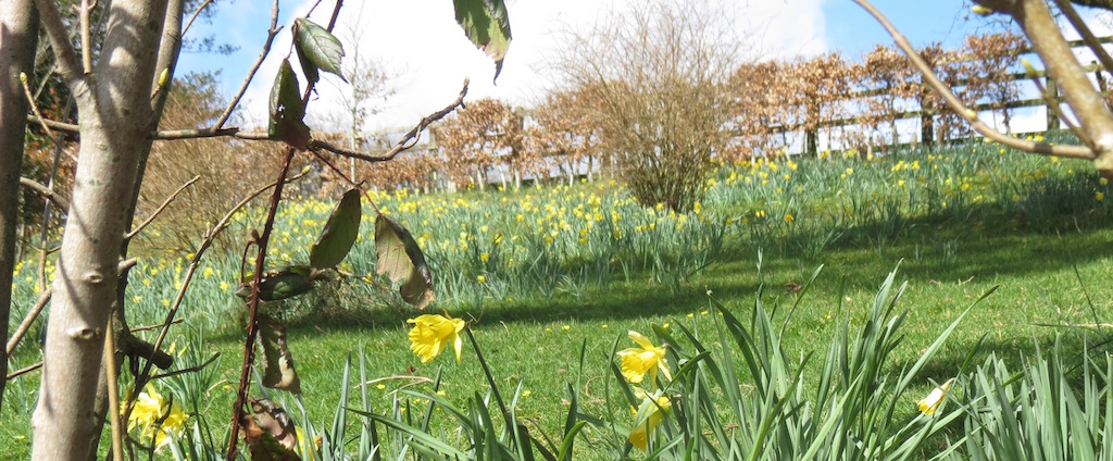 Cutthorne - Self Catering cottages in the Heart of Exmoor National Park